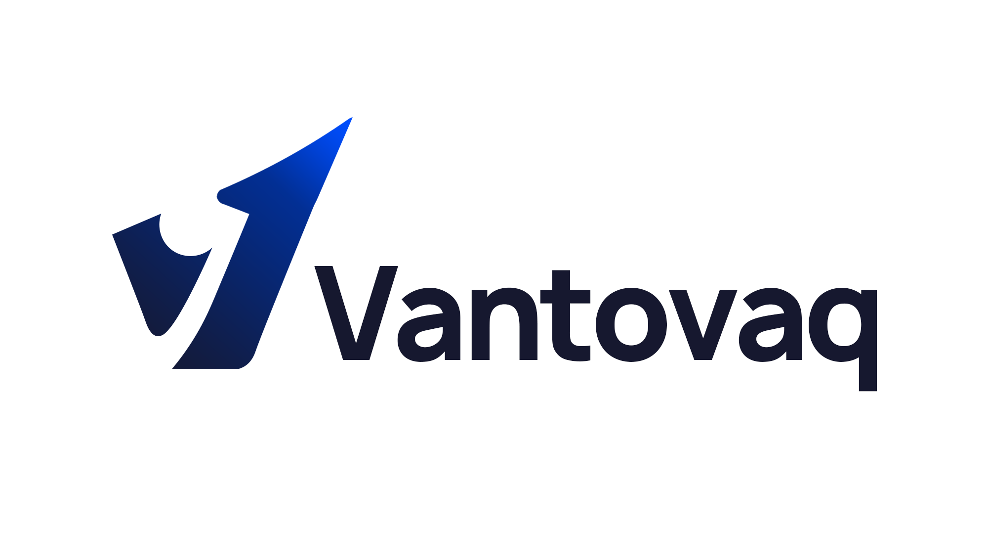Vantovaq-logo
